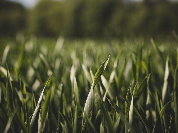 Ministry of National Defense